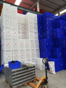 【潼南加工周轉(zhuǎn)籮筐/塑料蔬菜-水果周轉(zhuǎn)運(yùn)輸籮筐廠】- 